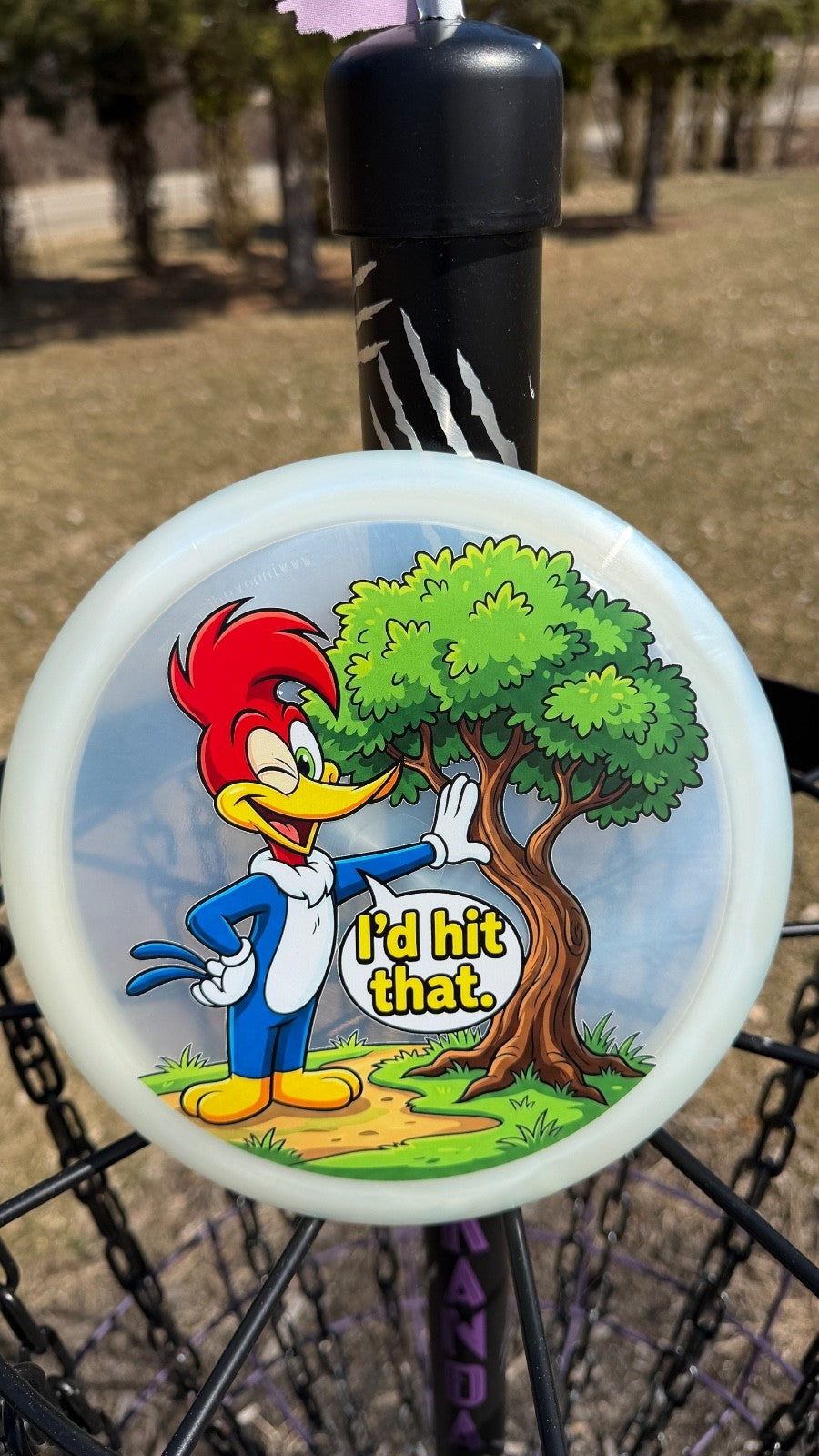 New Custom UV Printed Innova Teebird3 174G. PDGA Approved.